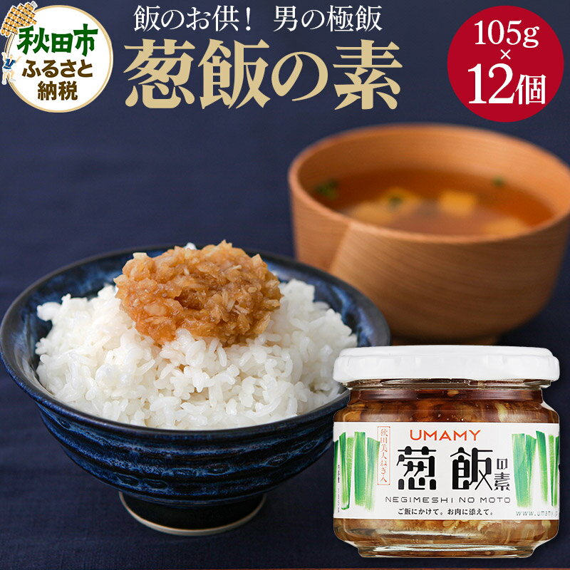 【ふるさと納税】【訳アリ】ご飯のお供！男の極飯・葱飯の素 105g×12個