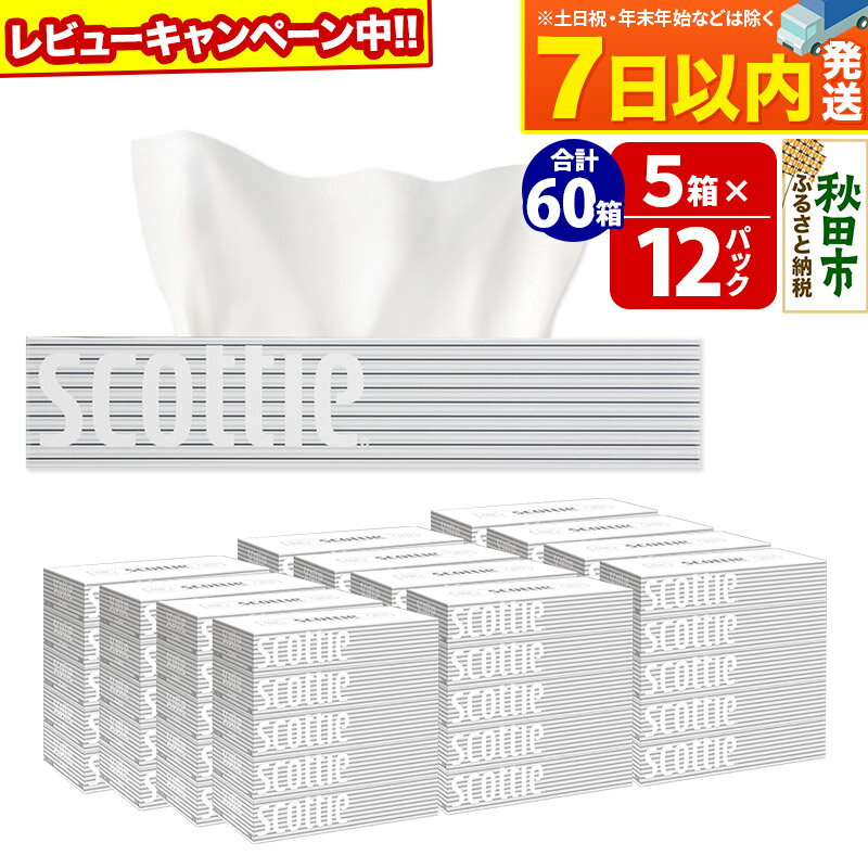 ティッシュペーパー スコッティ 200組 60箱(5箱×12パック) ティッシュ レビューキャンペーン中 日用品 7日以内発送