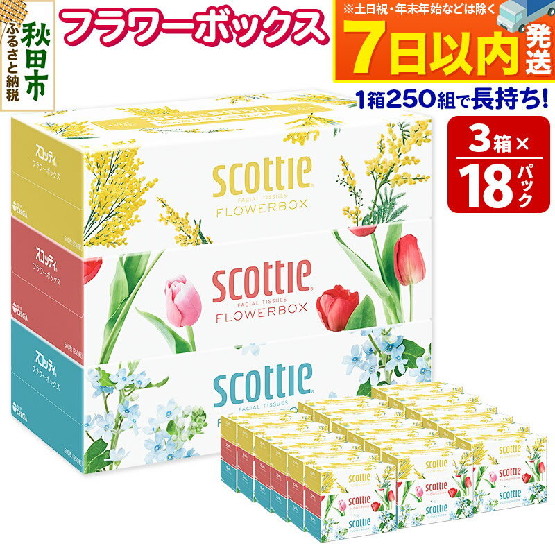 【ふるさと納税】スコッティ ティッシュペーパー フラワーボックス250組 54箱(3箱×18パック)