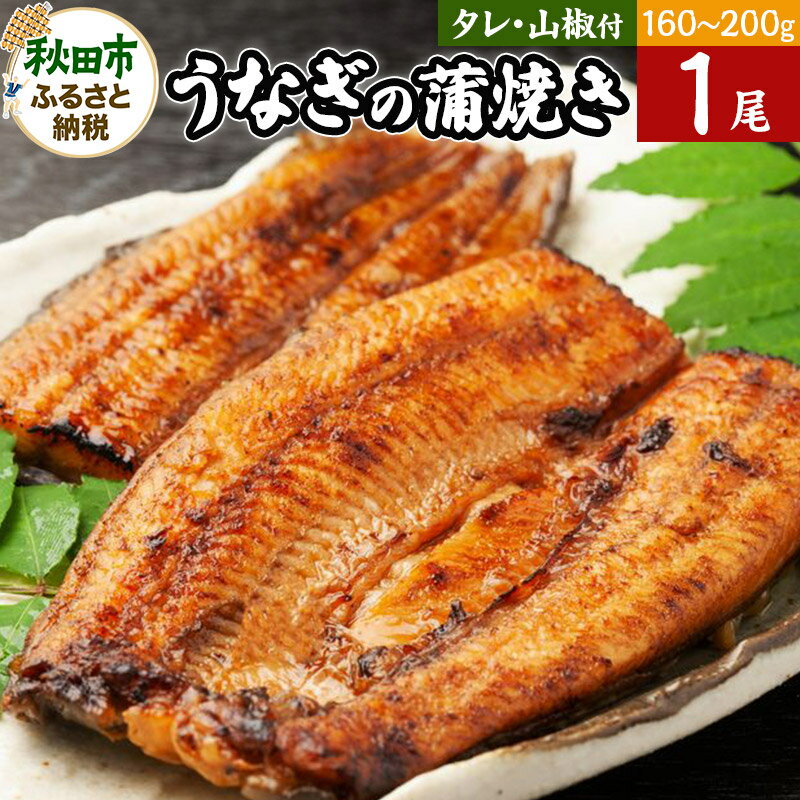 2位! 口コミ数「0件」評価「0」【仕出しのせきや】うなぎ蒲焼き 160～200g×1尾(タレ付き・山椒付き)