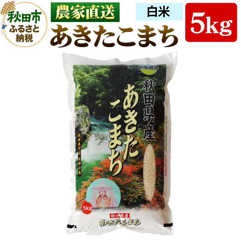 農家直送 あきたこまち 5kg 令和5年産 米 白米 田口商店