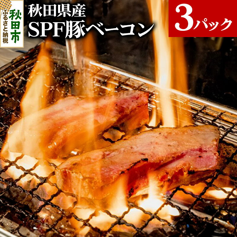 ベーコン 【ふるさと納税】秋田県産 SPF豚ベーコン 400～600g×3パック