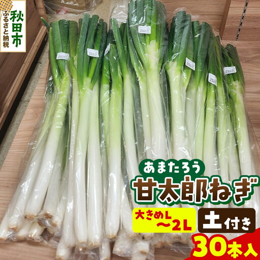 【ふるさと納税】甘太郎ねぎ 約5kg 土ねぎ(1箱30本入り) 【ふるさと納税】甘太郎ねぎ 約5kg 土ねぎ(1箱30本入り)
