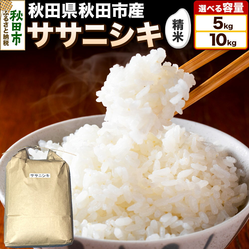 令和7年産 秋田県 秋田市産 ササニシキ 精米[選べる容量] 5kg/10kg(5kg小分け袋)白米 米