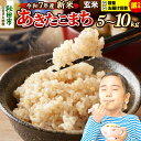 【ふるさと納税】《令和7年産 新米先行受付》《選べる容量×お届け回数》 米 あきたこまち 5kg・10kg(5kg小分け袋) 【玄米】 秋田県産