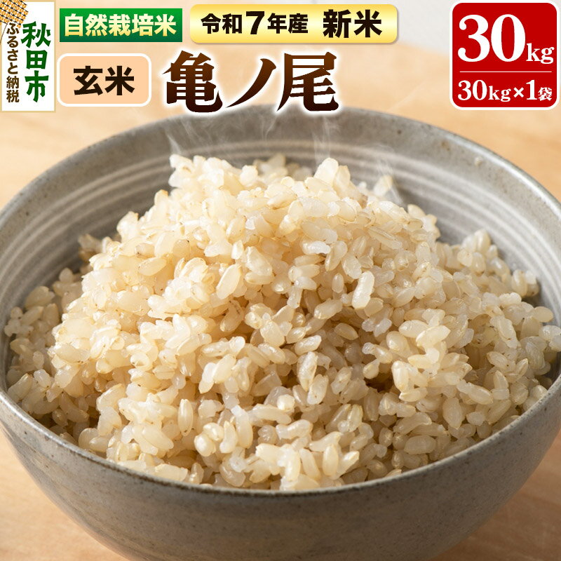楽天市場】自然 栽培 玄米 天 日干しの通販 楽天市場】自然 栽培 玄米 天 日干しの通販