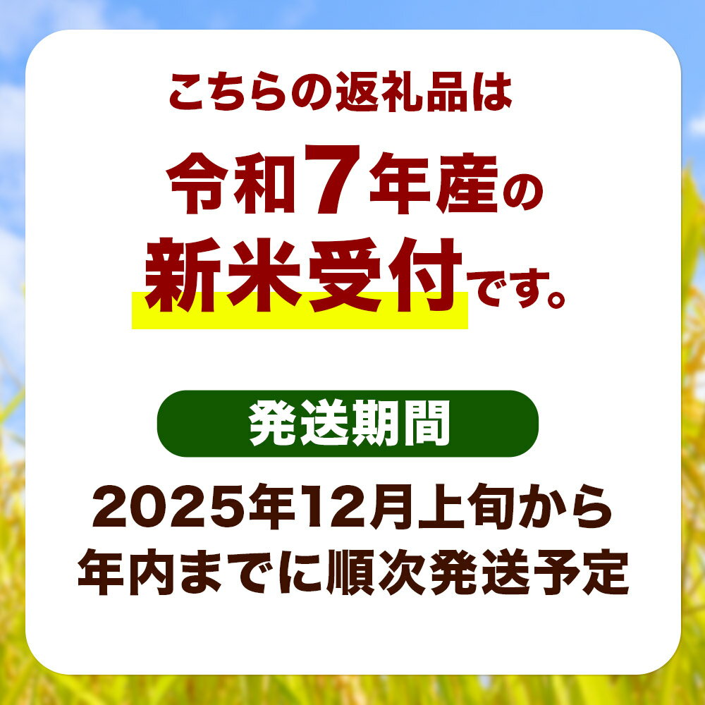【ふるさと納税】〈先行予約 令和7年産 新米〉自然栽培米「ササニシキ」精米 9kg 米俵入り 天日干し 農薬・肥料不使用