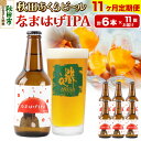 【ふるさと納税】《定期便11ヶ月》【秋田の地ビール】秋田あくらビール なまはげIPA 6本セット(330ml×計6本)(4)