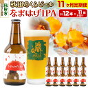 【ふるさと納税】《定期便11ヶ月》【秋田の地ビール】秋田あくらビール なまはげIPA 12本セット(330ml×計12本)