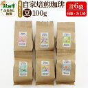 【ふるさと納税】自家焙煎珈琲 豆 100g×おまかせ6種セット 計600g