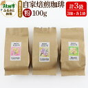 【ふるさと納税】自家焙煎珈琲 粉 100g×おまかせ3種セット 計300g