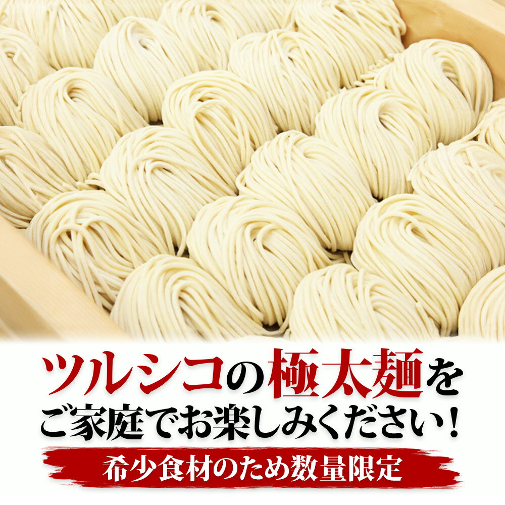 【ふるさと納税】濃厚豚骨伊勢海老つけ麺 12食セット