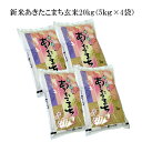 【ふるさと納税】〔B119〕【令和2年産新米】秋田県能代市産