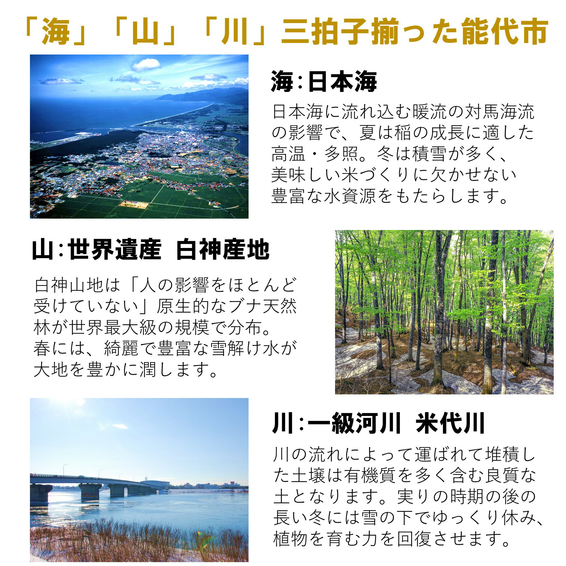 安心 安全なあきたこまち玄米kg 米どころ自慢のお米をどうぞご賞味ください ふるさと納税 あきたこまち 玄米 kg 5kg 4袋 秋田県 能代産 安心 安全なあきたこまち玄米kg 米どころ自慢のお米をどうぞご賞味ください ふるさと納税 あきたこまち 玄米 kg 5kg 4袋 秋田県 能代産