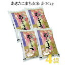 【ふるさと納税】 あきたこまち 玄米 20kg (5kg×4