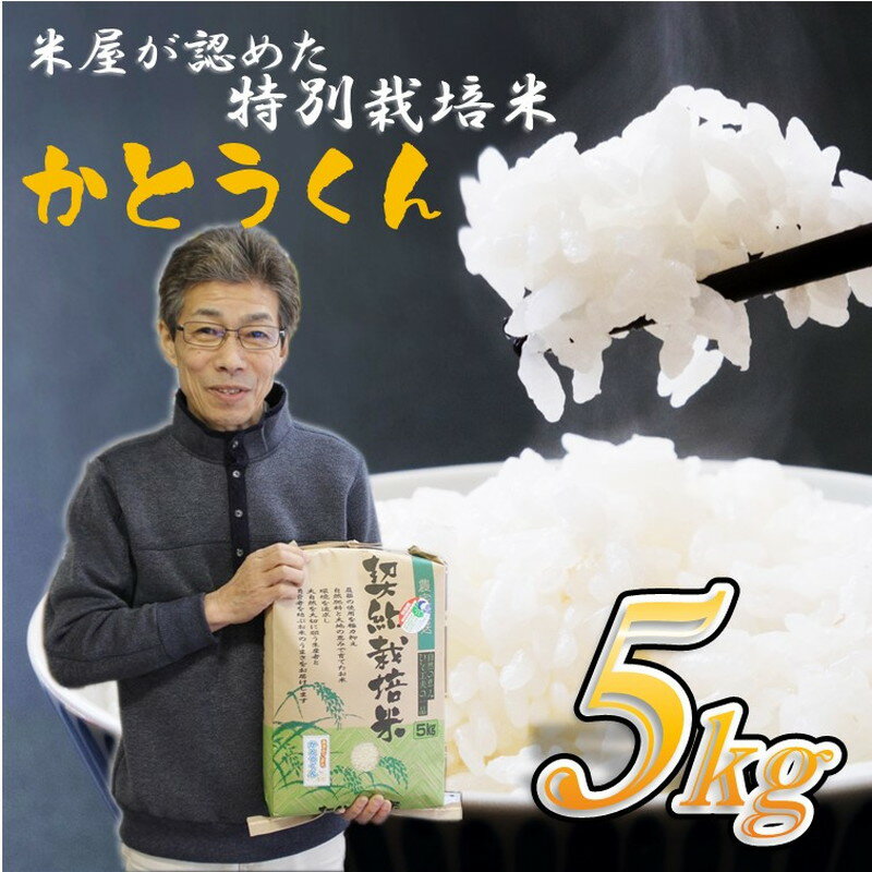【白米】特別栽培米 秋田県産 あきたこまち ”かとうくん” 5kg 米屋が認めたお米 令和5年産　【 ブランド米 産地直送 】　お届け：入金確認後、2週間～1か月程度でお届けします。