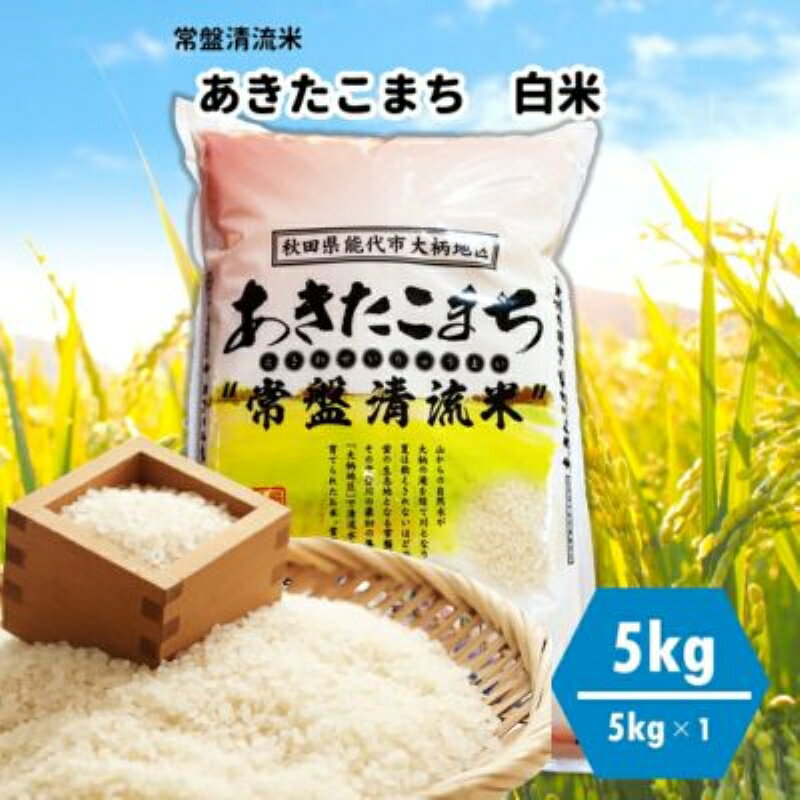 【白米】秋田県産 あきたこまち 5kg 常盤清流米 令和5年産　【 ブランド米 ご飯 主食 おにぎり お弁当 】　お届け：入金確認後、2週間程度でお届けします。