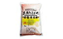 【ふるさと納税】【白米】秋田県産 あきたこまち 5kg 常盤清流米 令和5年産　【 ブランド米 ご飯 主食 おにぎり お弁当 】　お届け：入金確認後、2週間程度でお届けします。 3