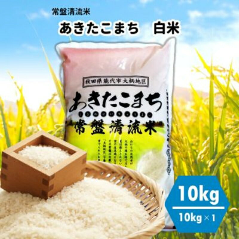 【白米】秋田県産 あきたこまち 10kg 常盤清流米 令和5年産　【 ブランド米 ご飯 主食 おにぎり お弁当 】　お届け：入金確認後、2週間程度でお届けします。