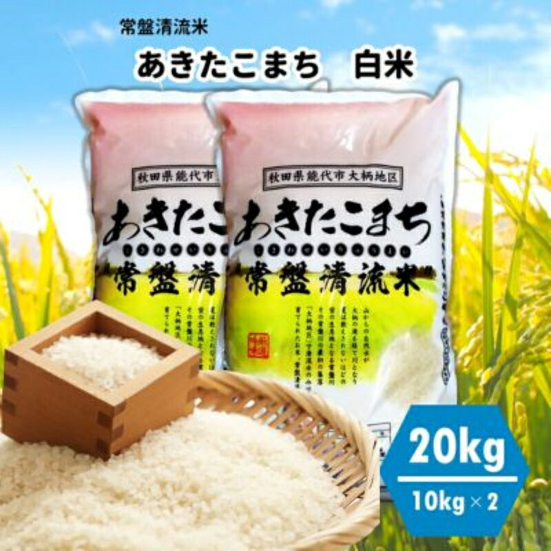 【白米】秋田県産 あきたこまち 20kg (10kg×2袋) 常盤清流米 令和5年産　【 ブランド米 ご飯 主食 おにぎり お弁当 】　お届け：入金確認後、2週間程度でお届けします。