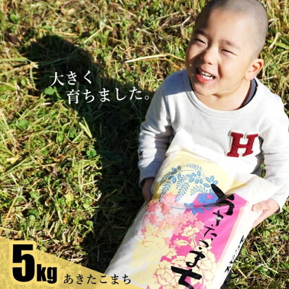 【白米】秋田県産 あきたこまち100％ 5kg 能代市産　【 お米 ブランド米 おにぎり お弁当 】　お届け：入金確認後、2週間～1か月程度でお届けします。