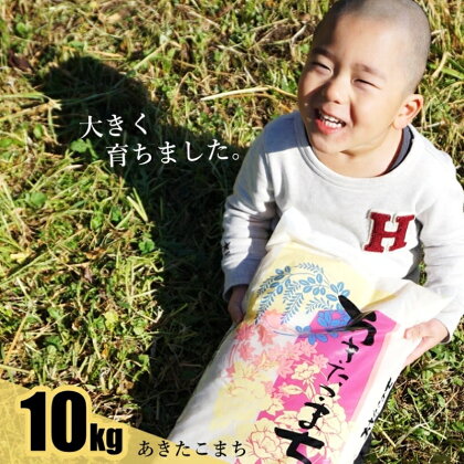 【白米】秋田県産 あきたこまち100％ 10kg 能代市産　【 お米 ブランド米 おにぎり お弁当 】　お届け：入金確認後、2週間～1か月程度でお届けします。