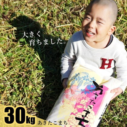 【白米】秋田県産 あきたこまち100％ 30kg (5kg×6袋) 能代市産　【定期便・ お米 ブランド米 おにぎり お弁当 】　お届け：入金確認後、翌月中旬頃にお届けします。