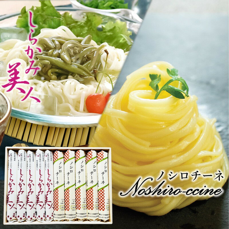 能代うどん 和風パスタ 食べ比べ 乾麺 2種 詰合せ 「しらかみ美人」「ノシロチーネ」各5束 セット　【 麺類 麺食べ比べ ツルツル食感 なめらか モチモチ食感 早ゆでパスタ 】　お届け：入金確認後、2週間～1か月程度でお届けします。