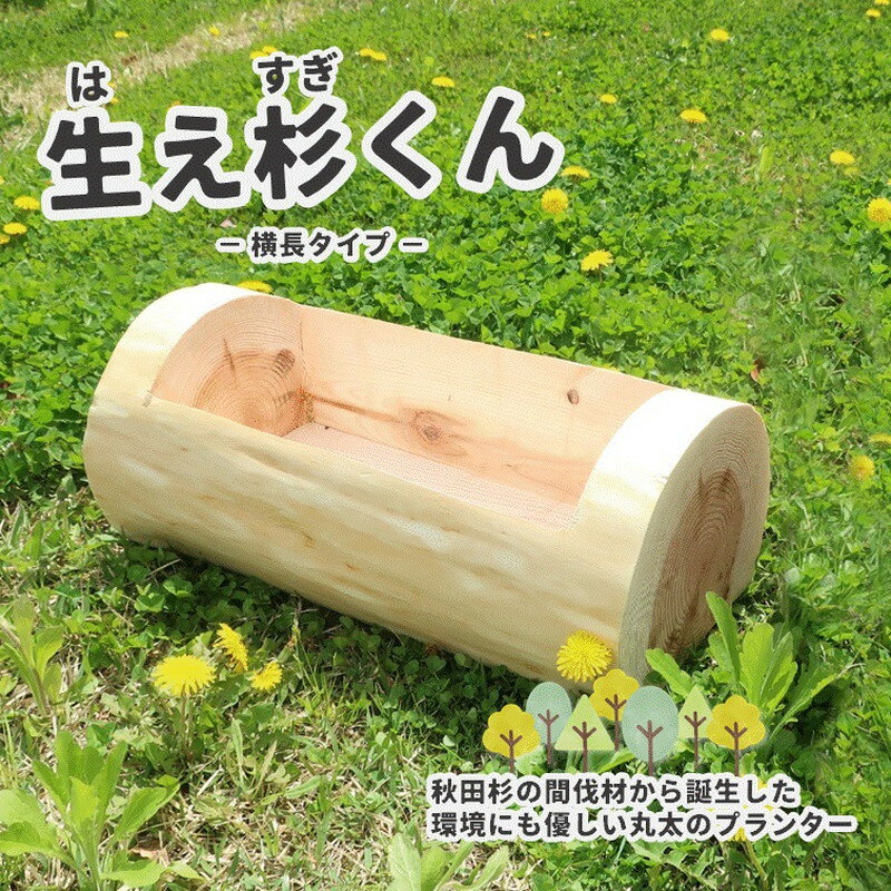 里山くらし応援 木工品 秋田杉の丸太プランター「生え杉くん（はえすぎくん）」横長タイプ　【 雑貨 日用品 ガーデニング用品 木製プランター 手作り 】　お届け：入金確認後、2週間～1か月程度でお届けします。