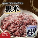 6位! 口コミ数「5件」評価「4.8」白神古代米 黒米 1kg×2袋 秋田県 能代市産　【 お米 ごはん アントシアニン ビタミン ミネラル 食物繊維 健康 美容 モチモチ 】　･･･ 