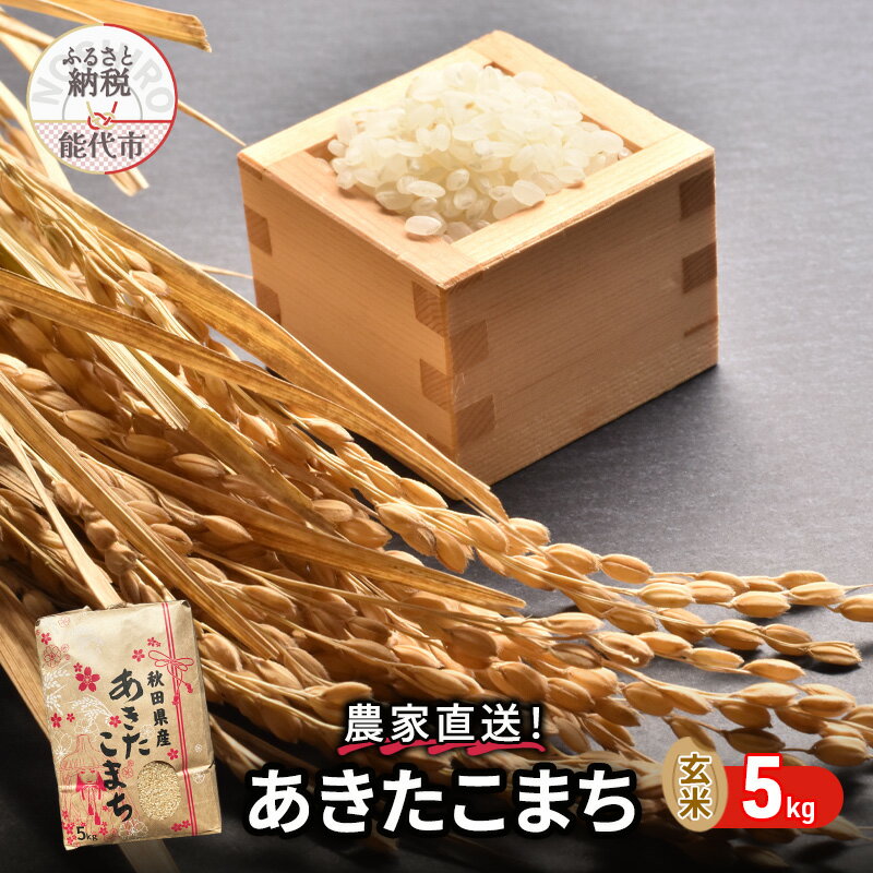 【ふるさと納税】玄米 農家直送！うまい!! 本場のあきたこまち 5kgご飯 ブランド米 おにぎり 令和6年産 産地直送 おこめ ごはん 秋田県 秋田 能代市 お米 銘柄米 お弁当 和食 　お届け：2025年1月下旬頃より順次発送予定のサムネイル