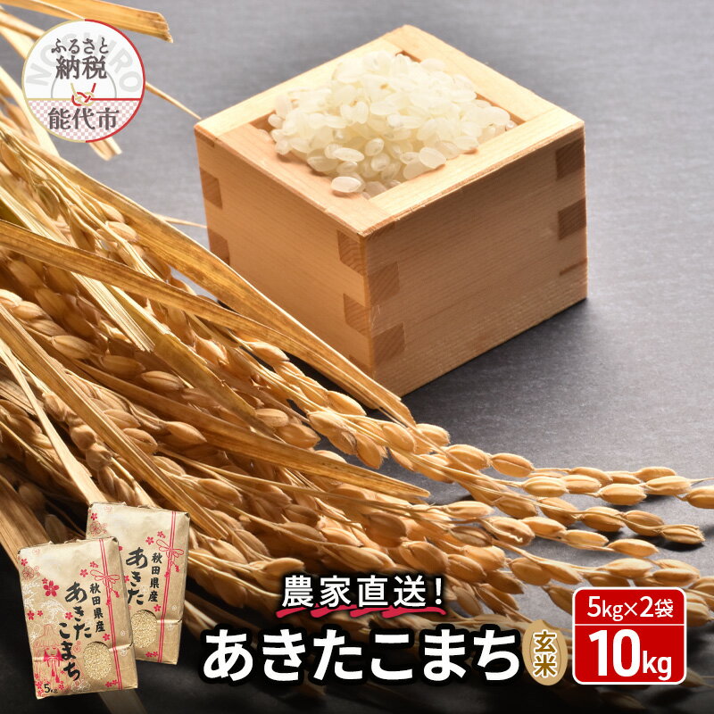 【ふるさと納税】【令和5年産】うまい!! 本場のあきたこまち 玄米 10kg　【 お米 ブランド米 銘柄米 ご飯 おにぎり お弁当 和食 産地直送 】　お届け：入金確認後、2週間～1か月程度でお届けします。のサムネイル