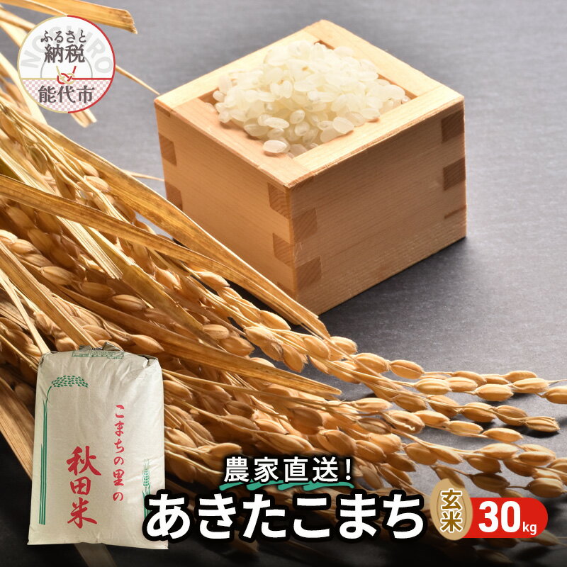 【ふるさと納税】新米 玄米 農家直送！うまい!! 本場のあきたこまち 30kg　 お米 ブランド米 銘柄米 ご飯 おにぎり お弁当 和食 産地直送 　お届け：2024年10月中旬～下旬頃より順次発送予定