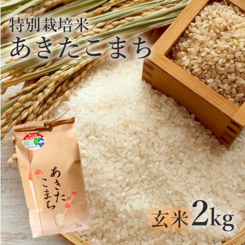 [玄米]特別栽培米 あきたこまち 2kg 秋田県産 令和5年産 [ 玄米 お米 お米 あきたこまち ] お届け:入金確認後、2週間〜1か月程度でお届けします。