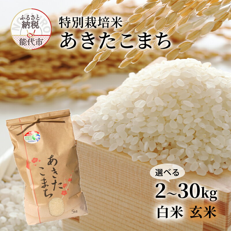 [玄米]特別栽培米 あきたこまち 2kg 秋田県産 令和5年産 [ 玄米 お米 お米 あきたこまち ] お届け:入金確認後、2週間〜1か月程度でお届けします。