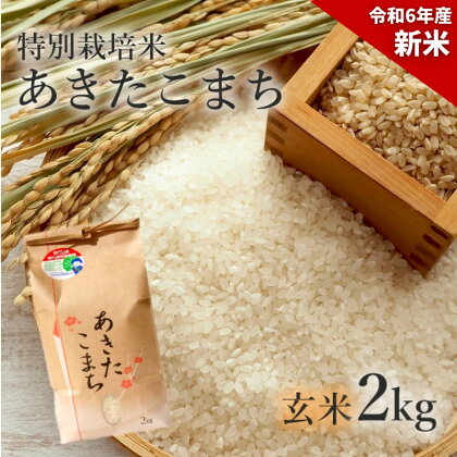 【玄米】特別栽培米 あきたこまち 2kg 秋田県産 令和5年産　【 玄米 お米 お米 あきたこまち 】　お届け：入金確認後、2週間～1か月程度でお届けします。