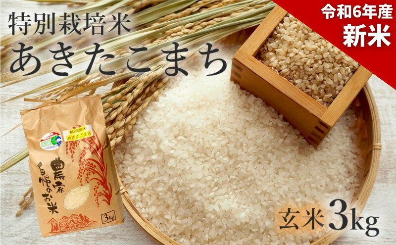 【ふるさと納税】【玄米】特別栽培米 あきたこまち 3kg 秋田県産 令和5年産　【 玄米 お米 お米 あきたこまち 】　お届け：入金確認後、2週間～1か月程度でお届けします。