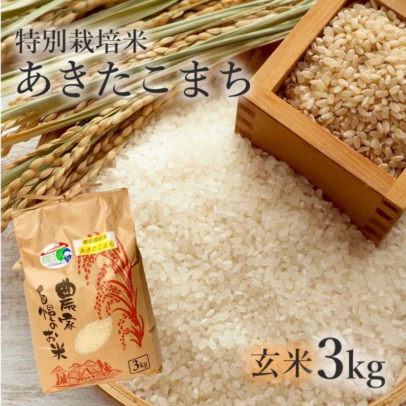 【ふるさと納税】【玄米】特別栽培米 あきたこまち 3kg 秋田県産 令和5年産　【 玄米 お米 お米 あきたこまち 】　お届け：入金確認後、2週間～1か月程度でお届けします。