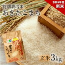 【ふるさと納税】【玄米】特別栽培米 あきたこまち 3kg 秋田県産 令和5年産　【 玄米 お米 お米 あきたこまち 】　お届け：入金確認後、2週間～1か月程度でお届けします。