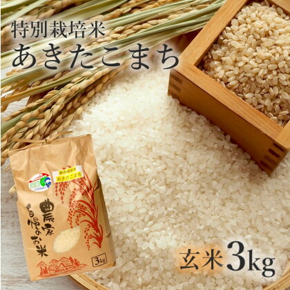 【玄米】特別栽培米 あきたこまち 3kg 秋田県産 令和5年産　【 玄米 お米 お米 あきたこまち 】　お届け：入金確認後、2週間～1か月程度でお届けします。