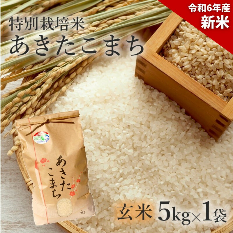 【ふるさと納税】【玄米】特別栽培米 あきたこまち 5kg 秋田県産 令和5年産　【 玄米 お米 お米 あきたこまち 】　お届け：入金確認後、2週間～1か月程度でお届けします。