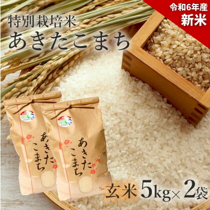 【玄米】特別栽培米 あきたこまち 10kg（5kg×2袋） 秋田県産 令和5年産　【 玄米 お米 お米 あきたこまち 】　お届け：入金確認後、2週間～1か月程度でお届けします。