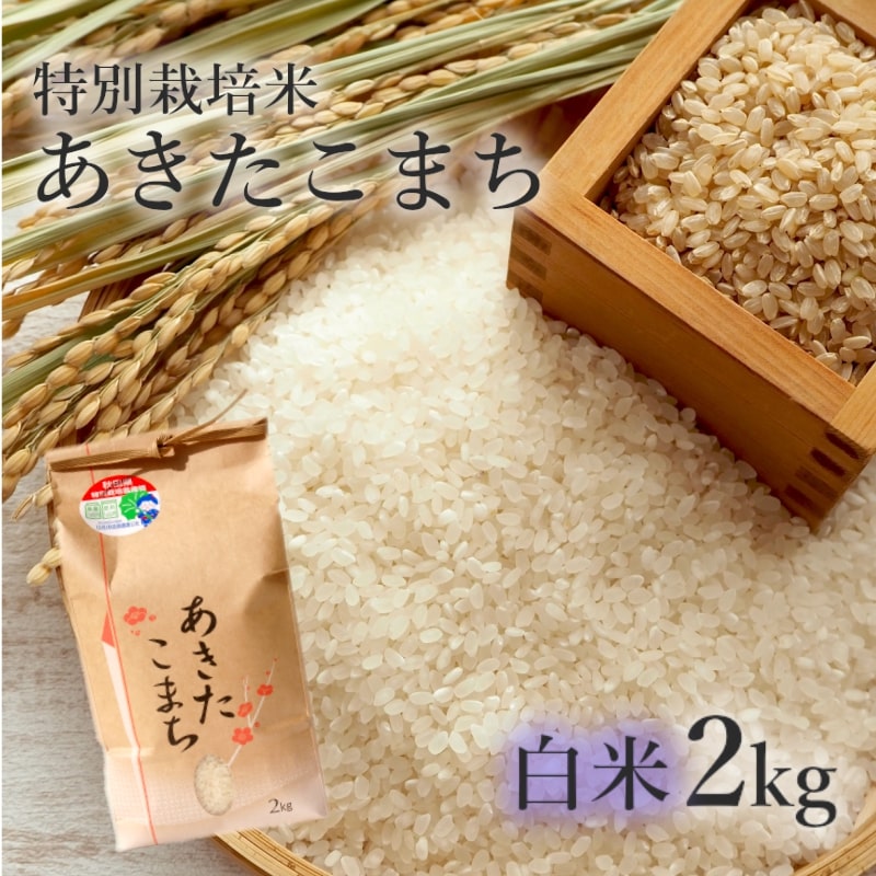 [白米]特別栽培米 あきたこまち 2kg 秋田県産 令和5年産 [ お米 あきたこまち ] お届け:入金確認後、2週間〜1か月程度でお届けします。