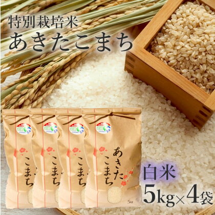【白米】特別栽培米 あきたこまち 20kg（5kg×4袋） 秋田県産 令和5年産　【 お米 あきたこまち 】　お届け：入金確認後、2週間～1か月程度でお届けします。