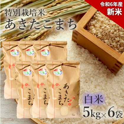 【白米】特別栽培米 あきたこまち 30kg（5kg×6袋） 秋田県産 令和5年産　【 お米 あきたこまち 】　お届け：入金確認後、2週間～1か月程度でお届けします。