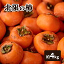 【ふるさと納税】北限の柿 果物類 お届け:2026年2月1日~2026年2月28日