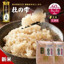 【ふるさと納税】令和7年産 新米 米 お米 《定期便6ヶ月》【玄米】秋田県産 あきたこまち あきた種梅産こまち 杜の雫 こだわりの大粒 10kg(5kg×2袋)×6回 合計60kg お届け:2025年10月中旬より順次発送予定です。