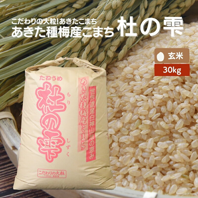 名称玄米内容量【玄米】あきたこまち 30kg×3回 合計90kg産地秋田県能代市品種／産年／使用割合あきたこまち／令和5年産／単一原料米精米時期パッケージに記載販売者さぽ～と白神 秋田県能代市二ツ井町種字萩の台46-1事業者さぽーと白神配送...