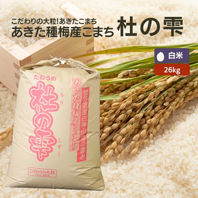 39位! 口コミ数「0件」評価「0」《定期便12ヶ月》【白米】秋田県産 あきたこまち あきた種梅産こまち 杜の雫 こだわりの大粒 26kg×12回 合計312kg　【定期便・ ･･･ 