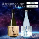 【ふるさと納税】【数量限定】純米吟醸活性生原酒「えきすい」720ml×2本 黒＆青 JAXAコラボ 喜久水酒造 ふるさと納税限定　【 お酒 日本酒 生酒 晩酌 家飲み 】　お届け：入金確認後、2週間～1か月程度でお届けします。